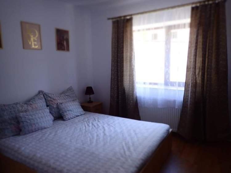 Geoagiu Băi Casa D'Ana 아파트 외부 사진