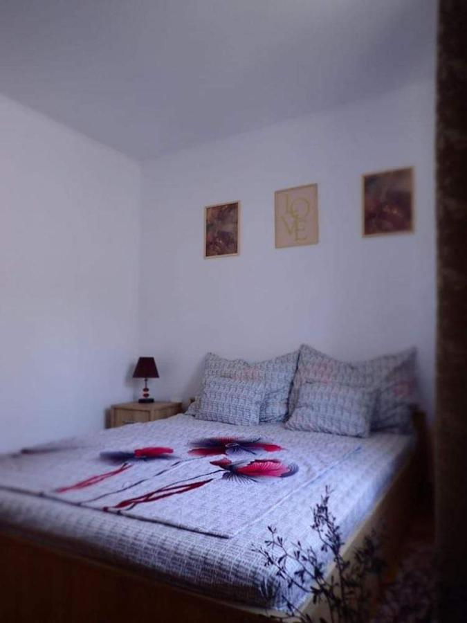 Geoagiu Băi Casa D'Ana 아파트 외부 사진