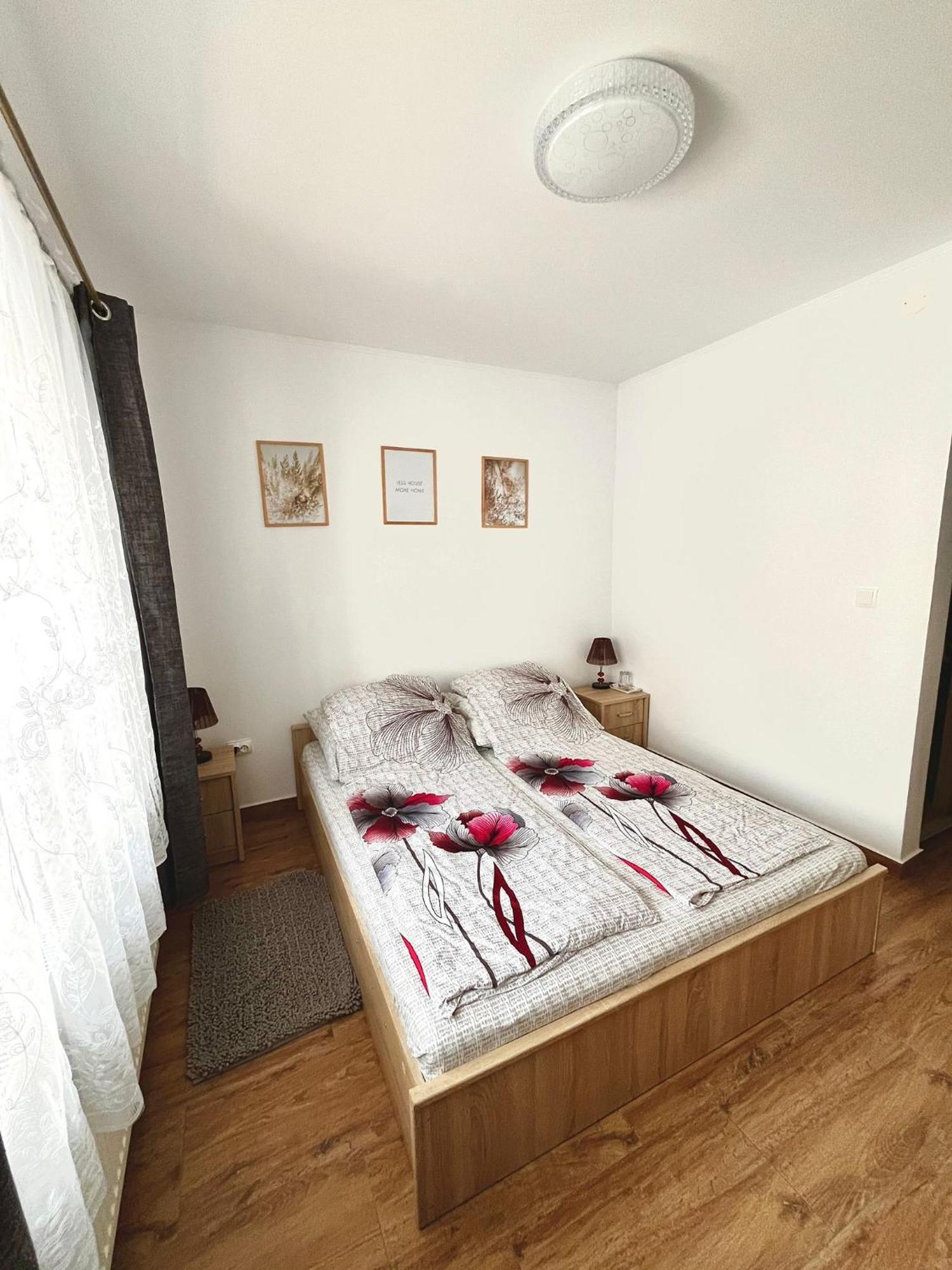 Geoagiu Băi Casa D'Ana 아파트 외부 사진
