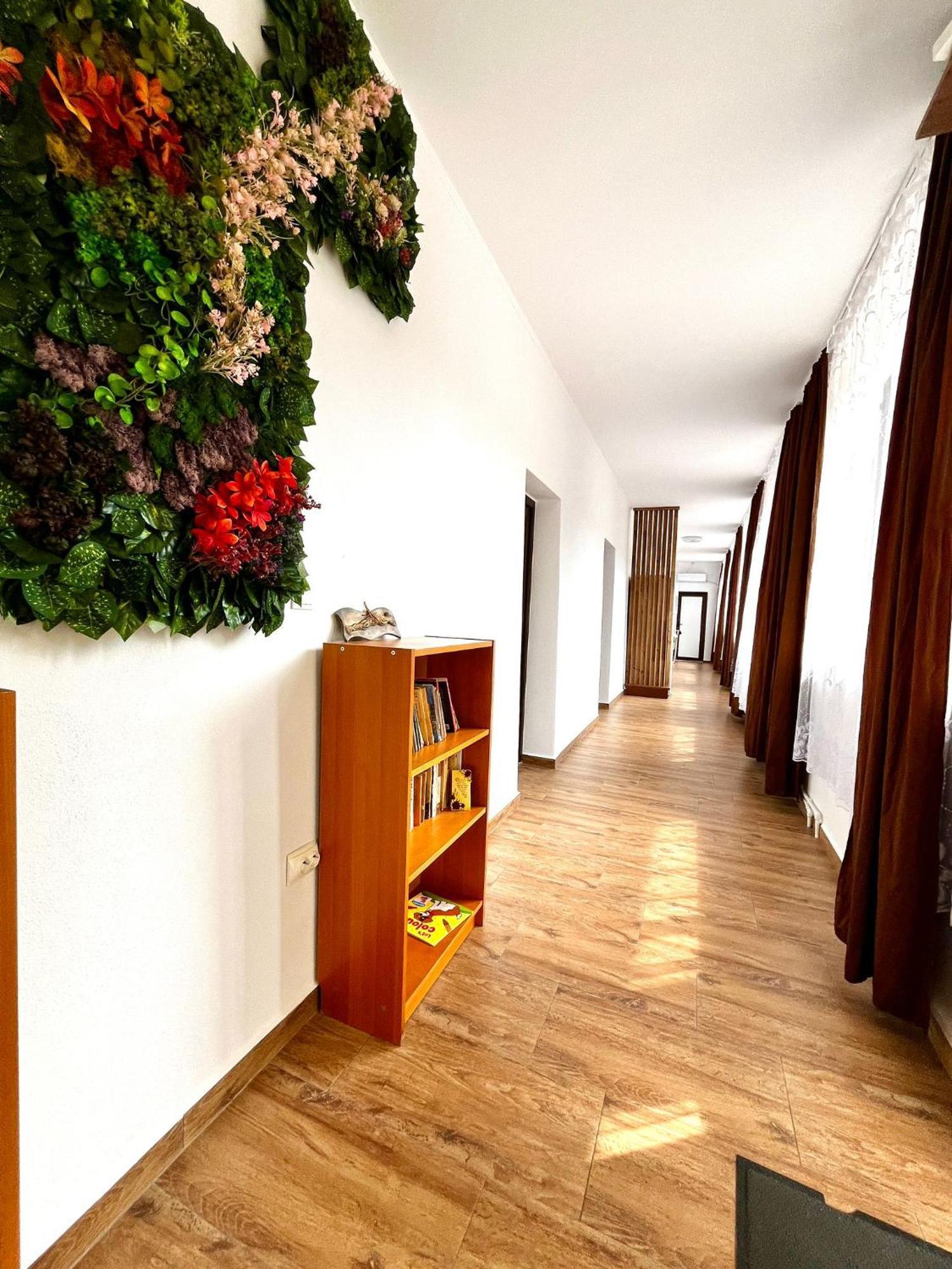Geoagiu Băi Casa D'Ana 아파트 외부 사진