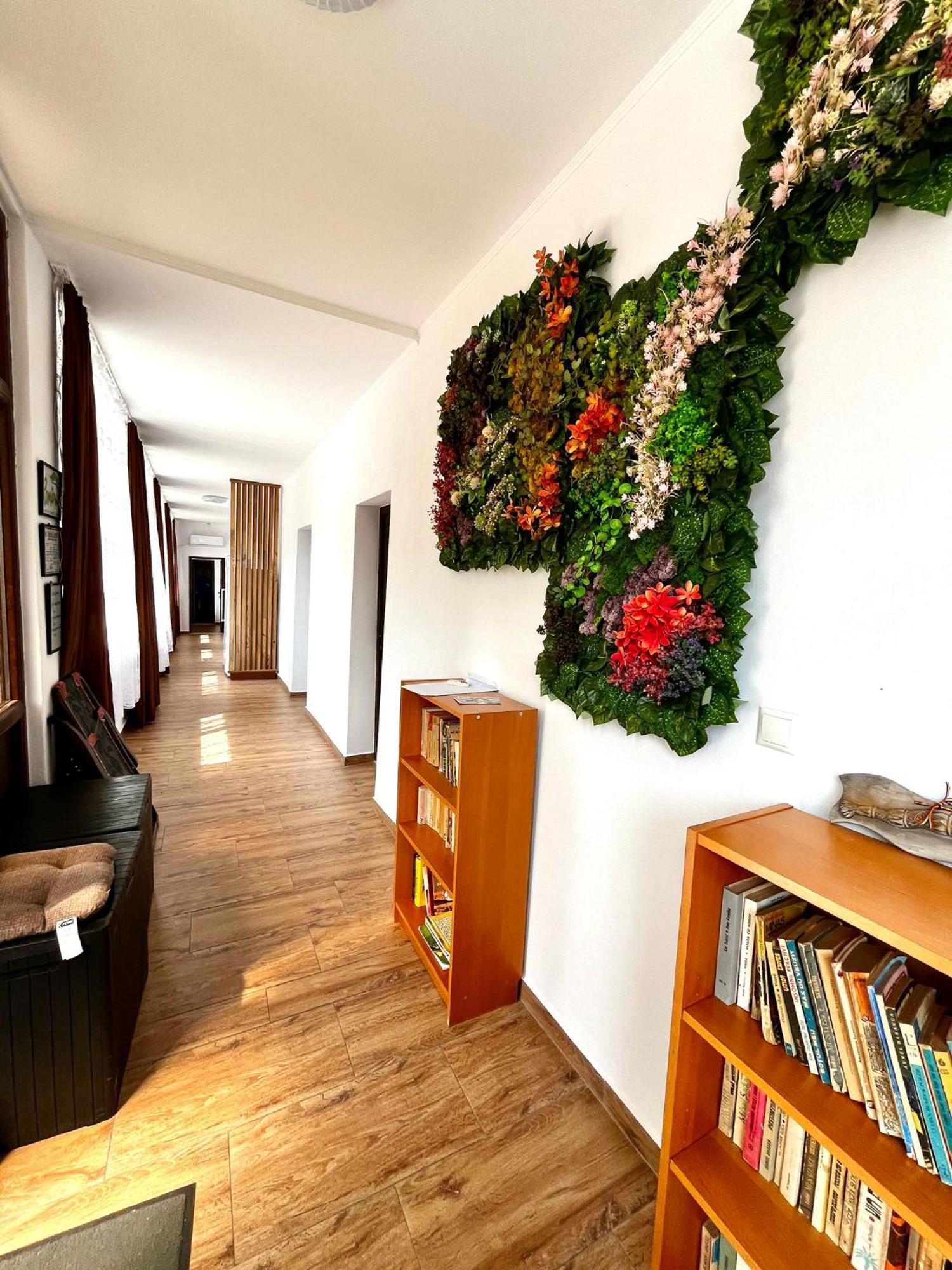 Geoagiu Băi Casa D'Ana 아파트 외부 사진