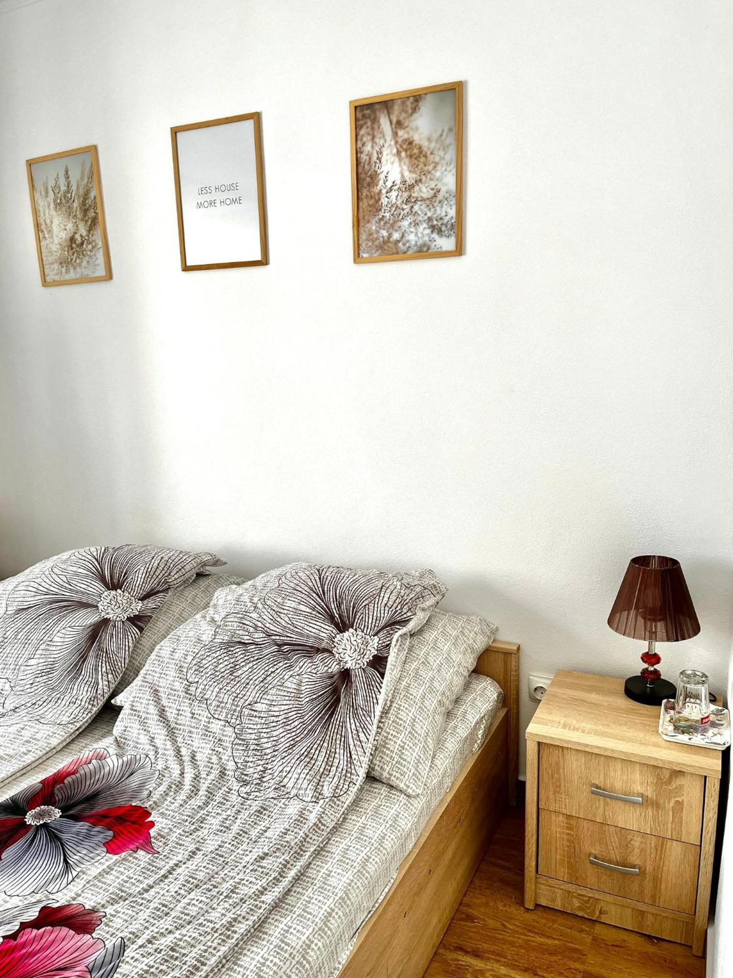 Geoagiu Băi Casa D'Ana 아파트 외부 사진
