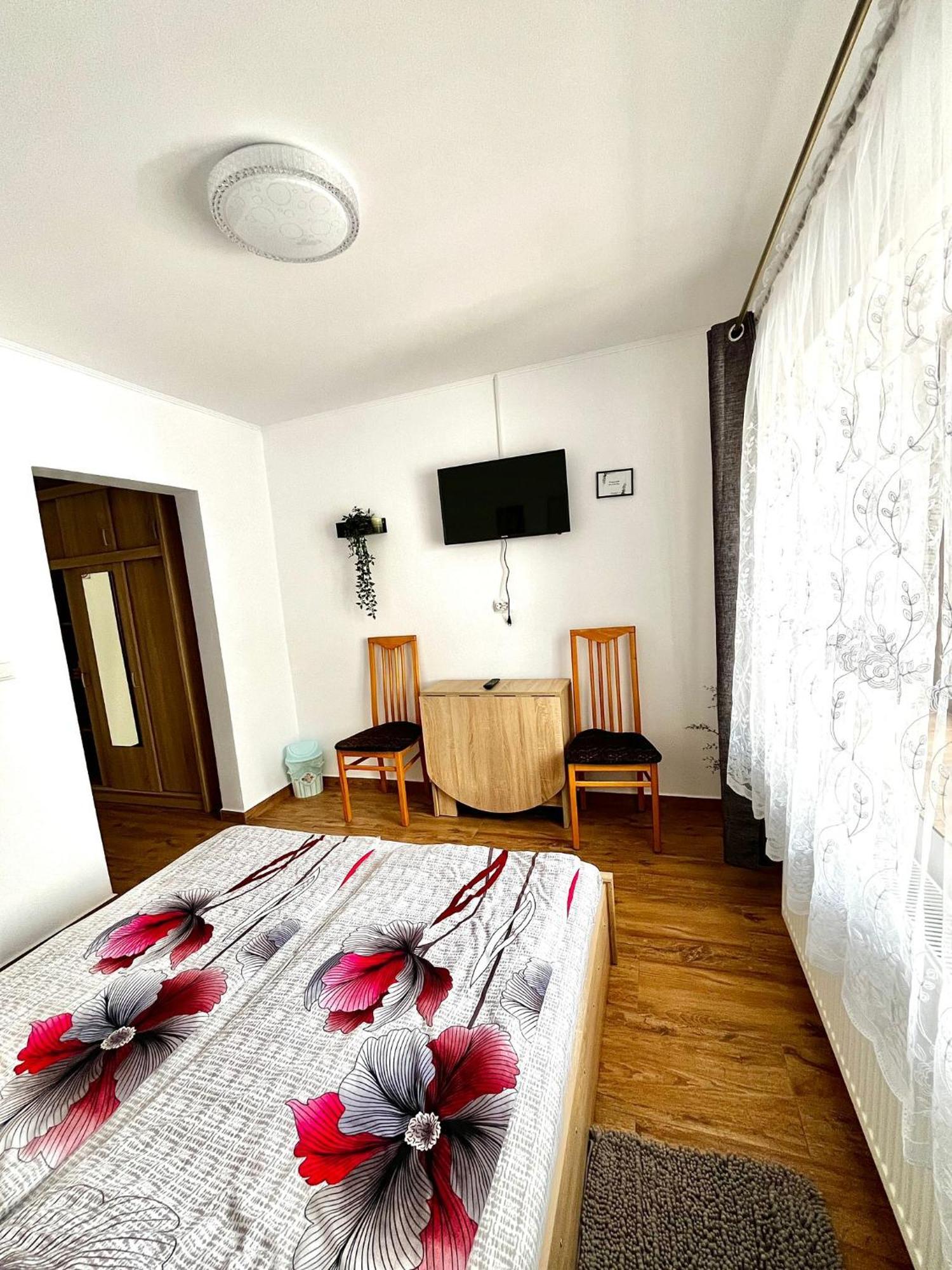 Geoagiu Băi Casa D'Ana 아파트 외부 사진